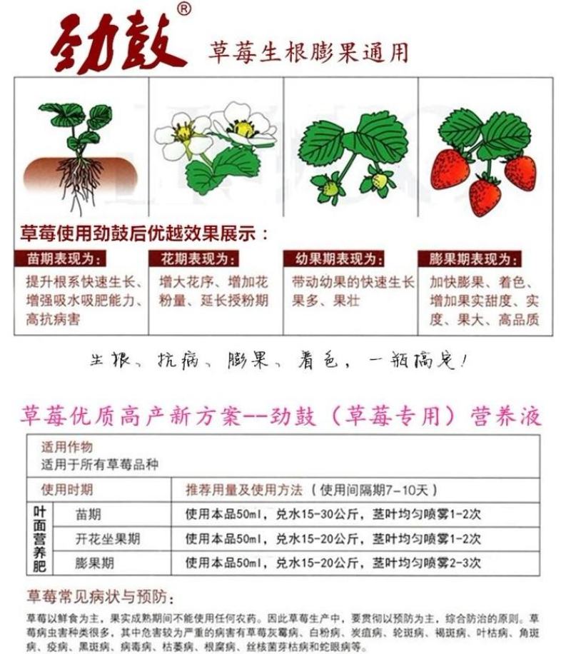 草莓生根膨果剂膨大素强力生根保花保果增甜着色催红叶面肥