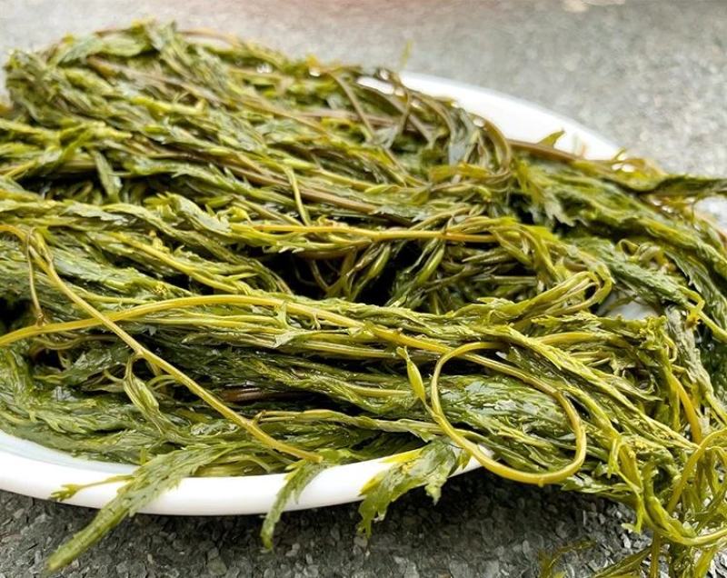盐渍马尾藻海藻类凉拌，包包子，包饺子+五花肉，超好吃