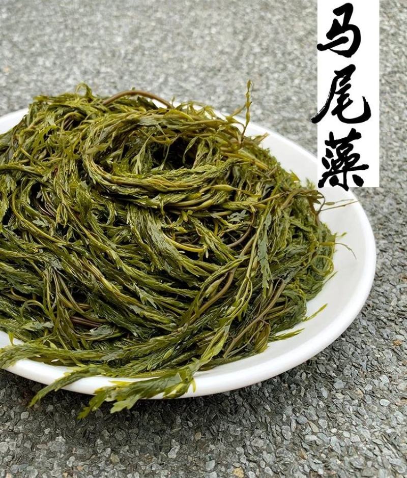 盐渍马尾藻海藻类凉拌，包包子，包饺子+五花肉，超好吃