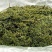 盐渍马尾藻海藻类凉拌，包包子，包饺子+五花肉，超好吃