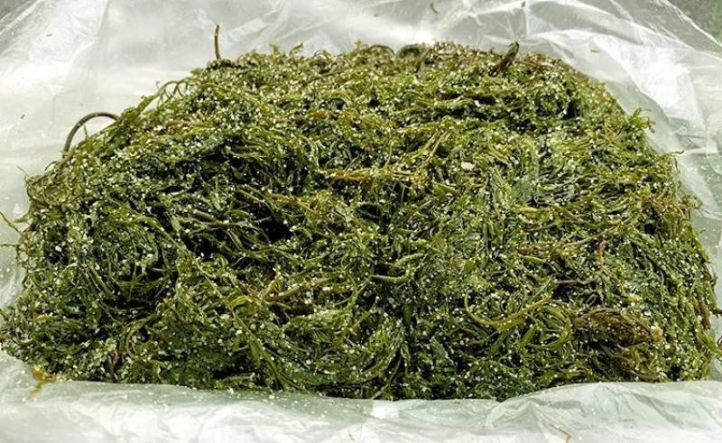 盐渍马尾藻海藻类凉拌，包包子，包饺子+五花肉，超好吃