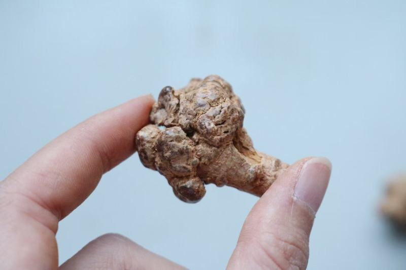 .60头田七性价比高
