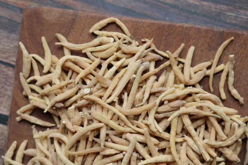 特价小号太子参品相不错性价比高