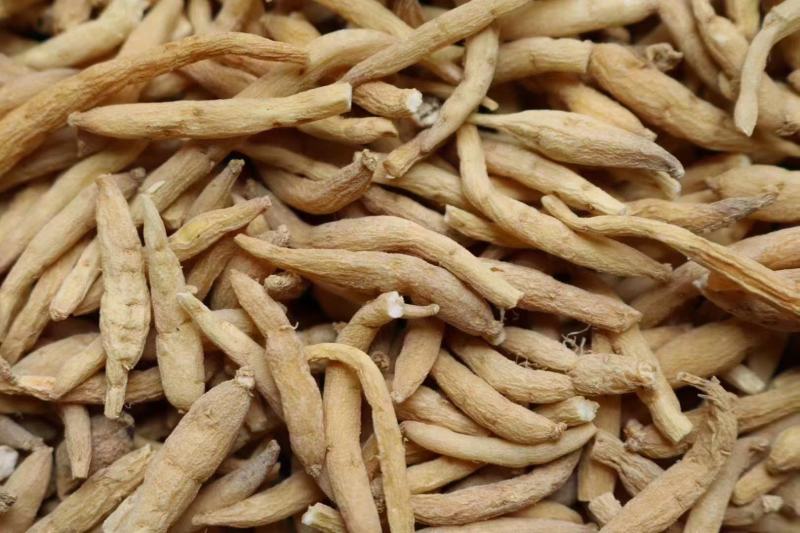 特价小号太子参品相不错性价比高