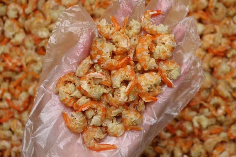 湛江中号金钩海米口感好鲜甜