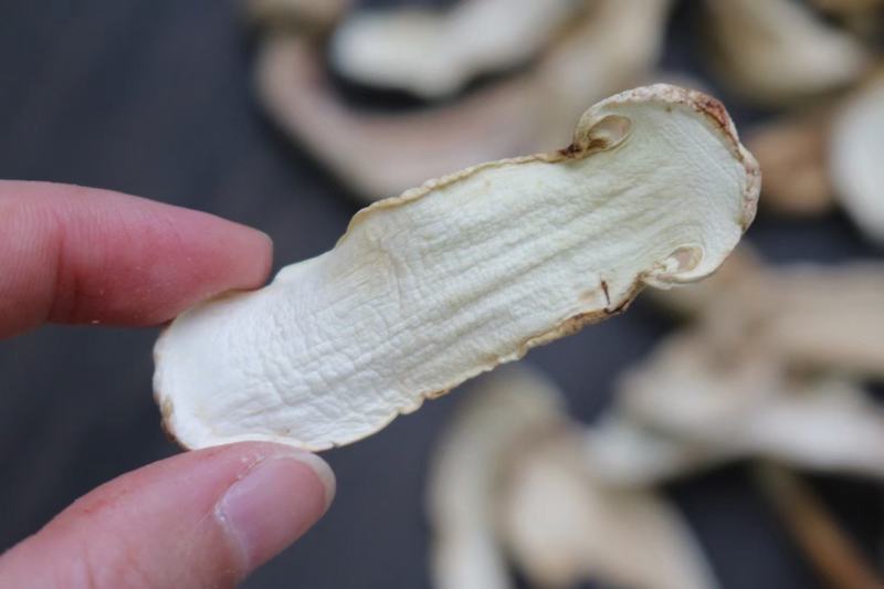 野生中片松茸干香味浓郁足干