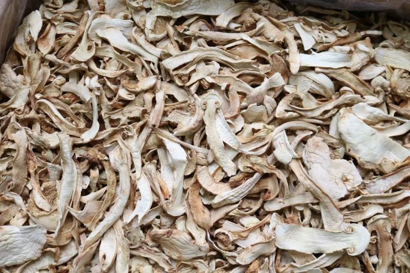 野生中片松茸干香味浓郁足干