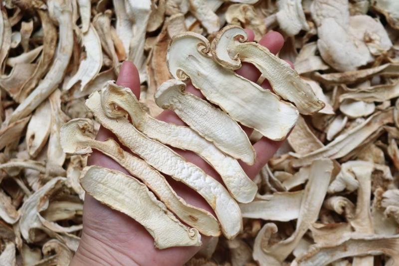 野生中片松茸干香味浓郁足干