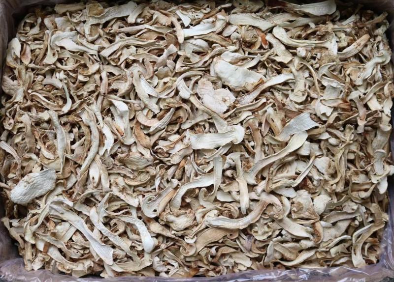 野生中片松茸干香味浓郁足干