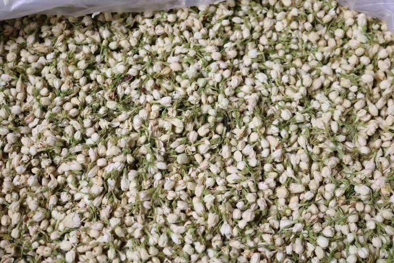 茉莉花茶口感好性价比高