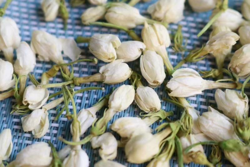 茉莉花茶口感好性价比高