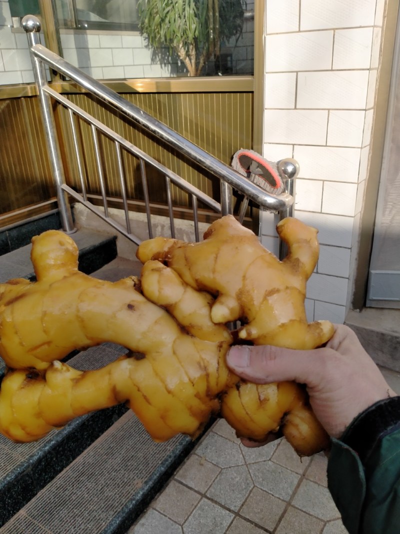 生姜
