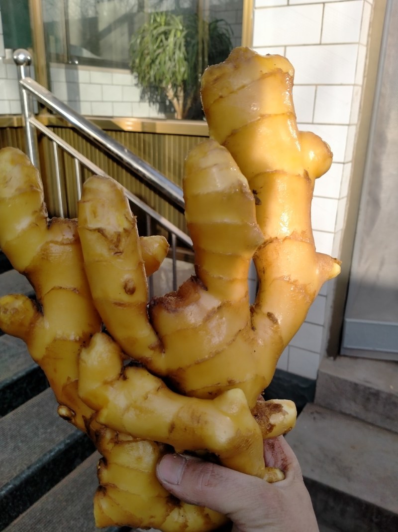 生姜