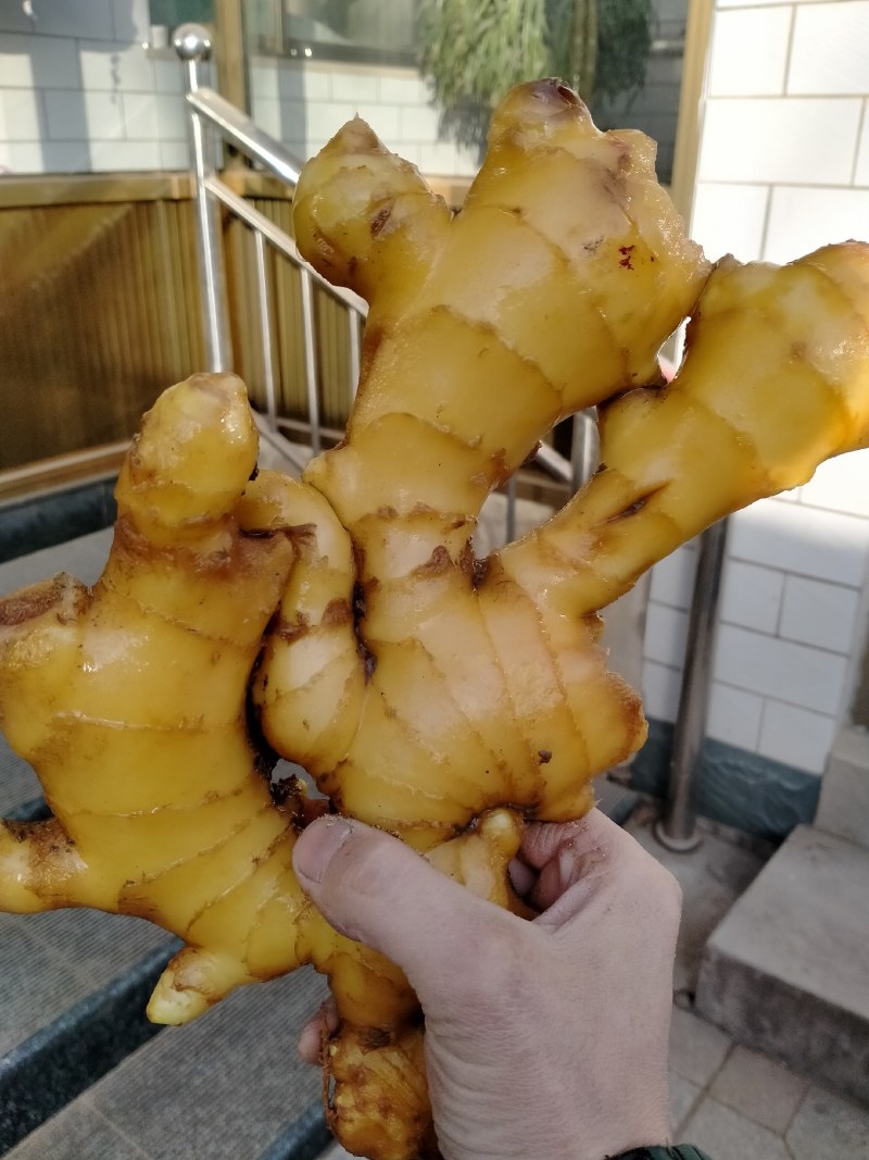 生姜