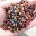 红花椒【泡脚花椒】专用500g包邮足裕干花椒粒