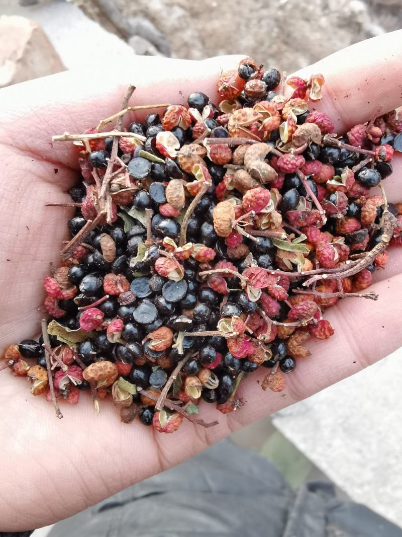 红花椒【泡脚花椒】专用500g包邮足裕干花椒粒