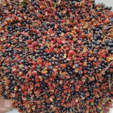 红花椒【泡脚花椒】专用500g包邮足裕干花椒粒