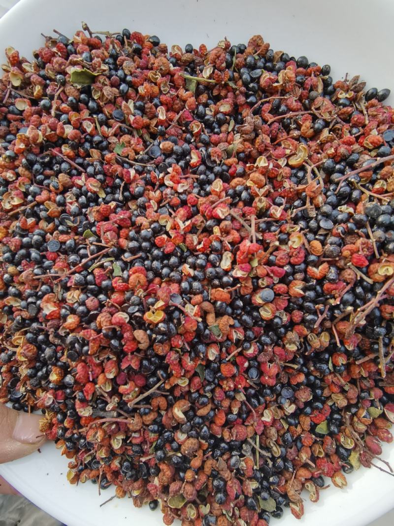 红花椒【泡脚花椒】专用500g包邮足裕干花椒粒