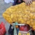 黄精精品个子（全肉质）无硫云南滇黄精甜黄精