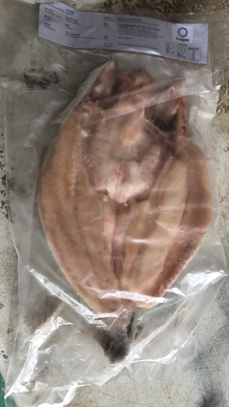 开背巴沙鱼湄公鱼凌波鱼