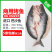 开背巴沙鱼湄公鱼凌波鱼