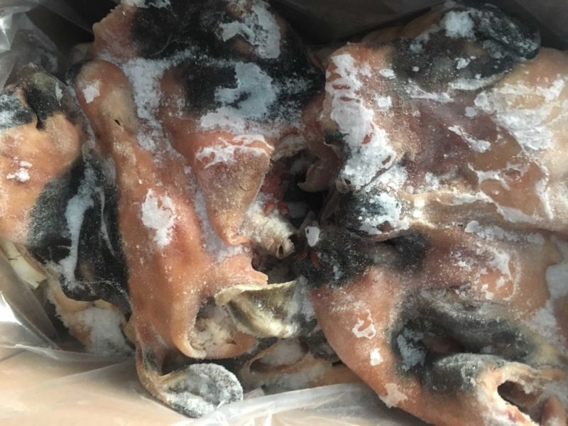 锡林浩特本地羊脸肉走冷链物流可发全国大量批发！