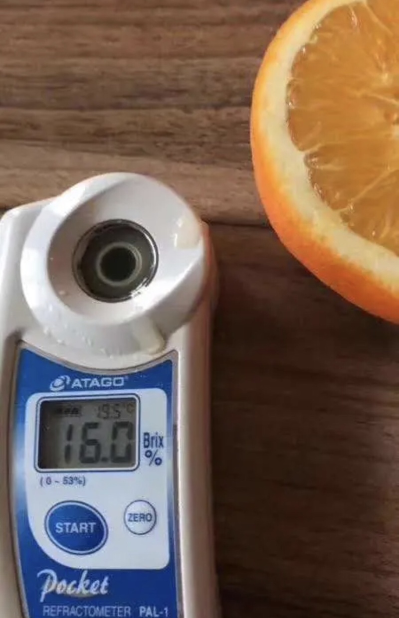 精品秭归长虹脐橙产地直供果子优美支持视频看货