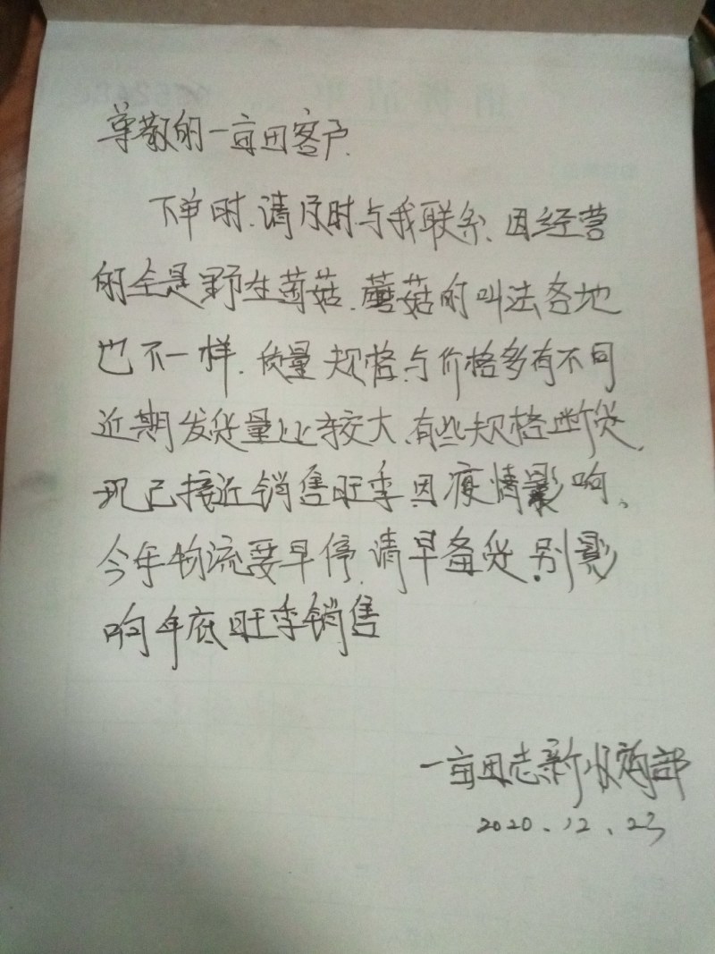 松蘑串（土信，粘蘑，松树蛾子，粘团子，蛾子）松蘑干