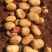 【精品】云南三亩大基地土豆丽薯六号白皮白心纯度高一级薯