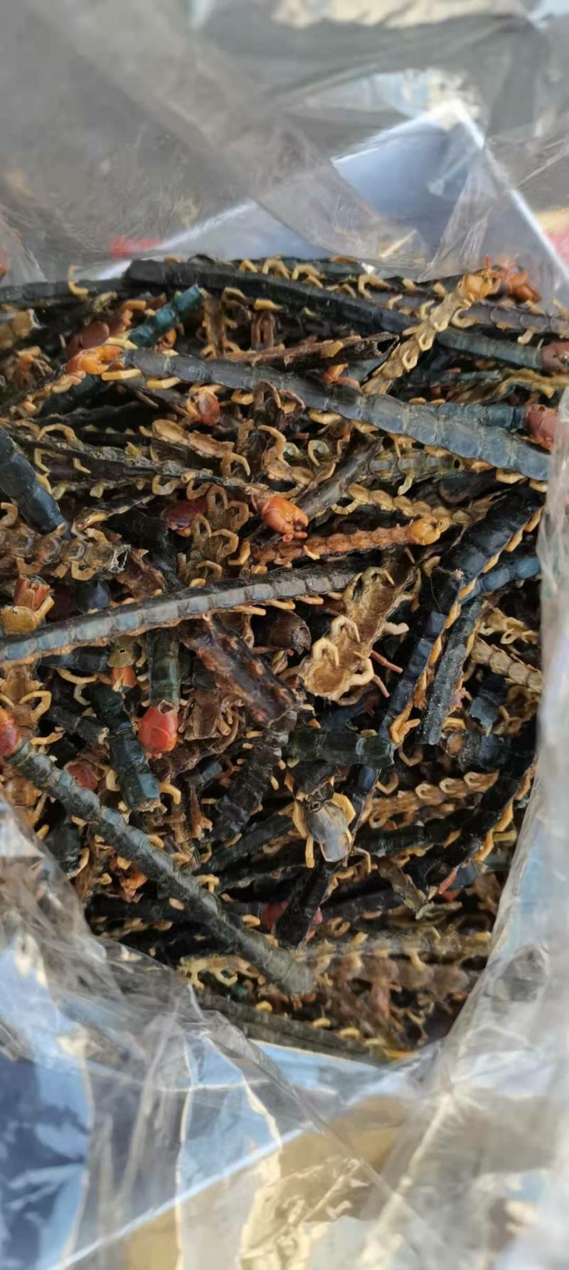 蜈蚣蜈蚣皮干货无竹签统货实物拍摄中药材