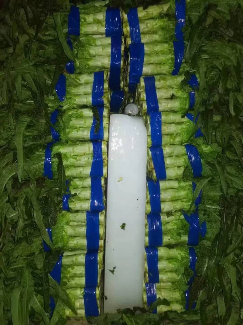 青皮莴笋-基地直供-视频看货-量大从优。