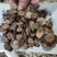 中药材赤芍内蒙正品野生粉赤芍无添加一公斤起发货
