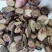 中药材赤芍内蒙正品野生粉赤芍无添加一公斤起发货