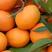 脐橙，纽荷尔，九月红，爱媛果冻橙，量大质优欢迎订购