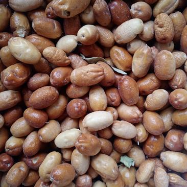 沙枣，新疆的特产沙枣