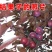紫叶李红叶李《速生生长速度快》耐寒抗热成活率高