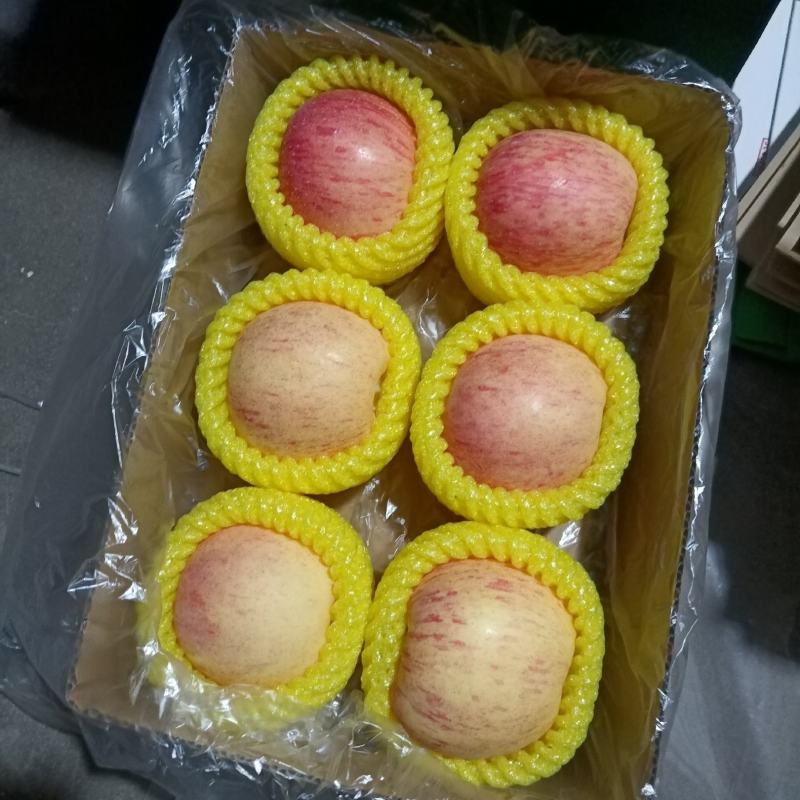 【精品】河北红富士苹果-产地直销-量大从优-价格优惠