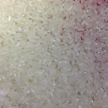 东北五常大米（稻花香）农产品直播广场等您