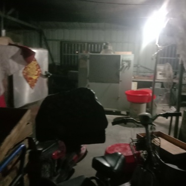 黄粉虫干虫，活虫，虫沙，欢迎你的加入