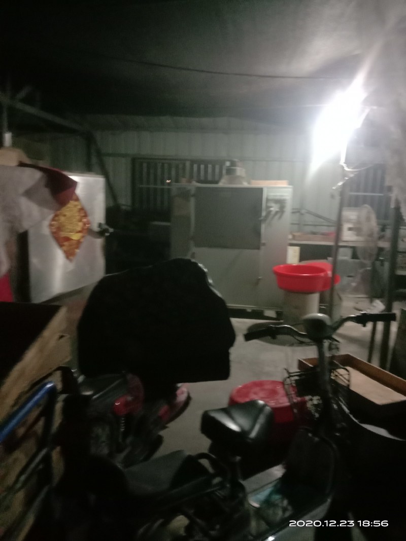 黄粉虫干虫，活虫，虫沙，欢迎你的加入