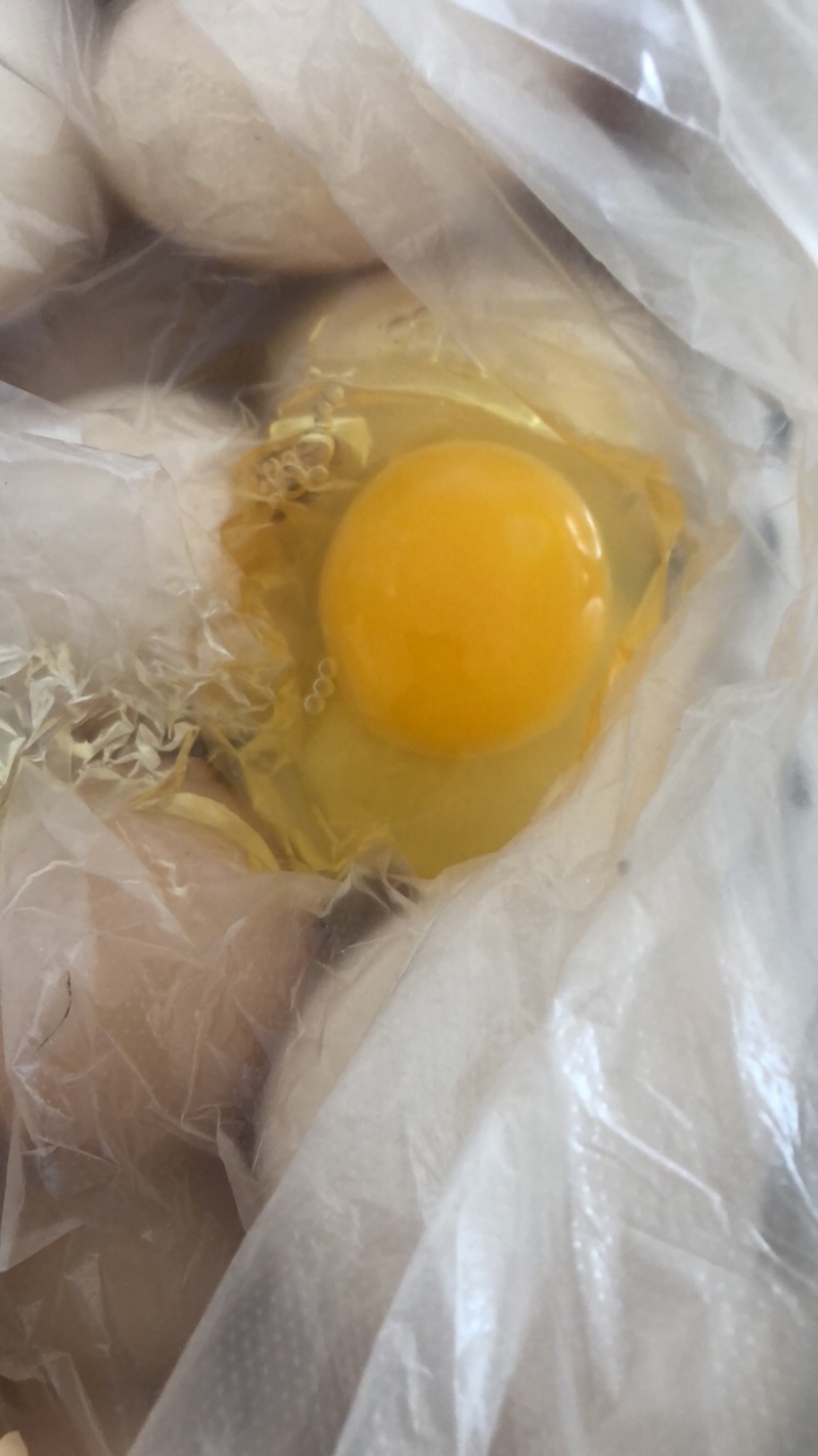 【长期供应】鲜鸡蛋次品鸡蛋畸形鸡蛋双簧蛋种类齐全