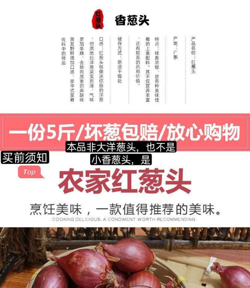 红葱头珠葱头洋葱头支持电商一件代发