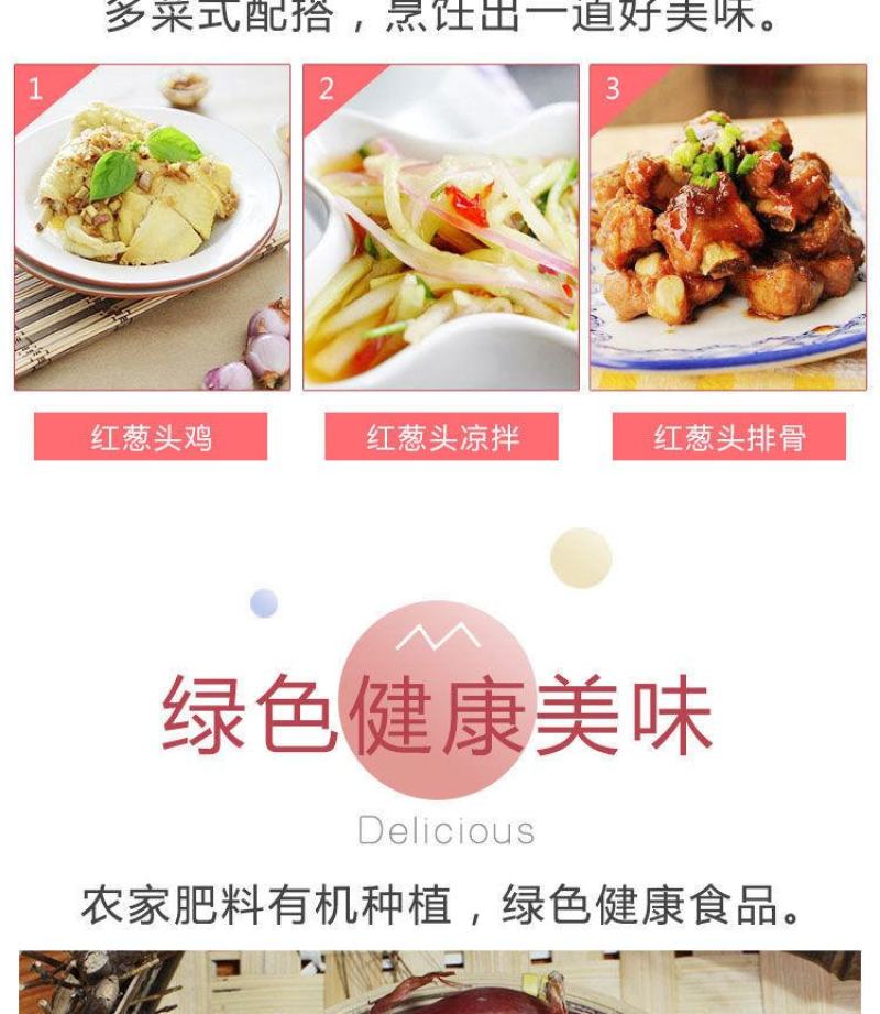 红葱头珠葱头洋葱头支持电商一件代发