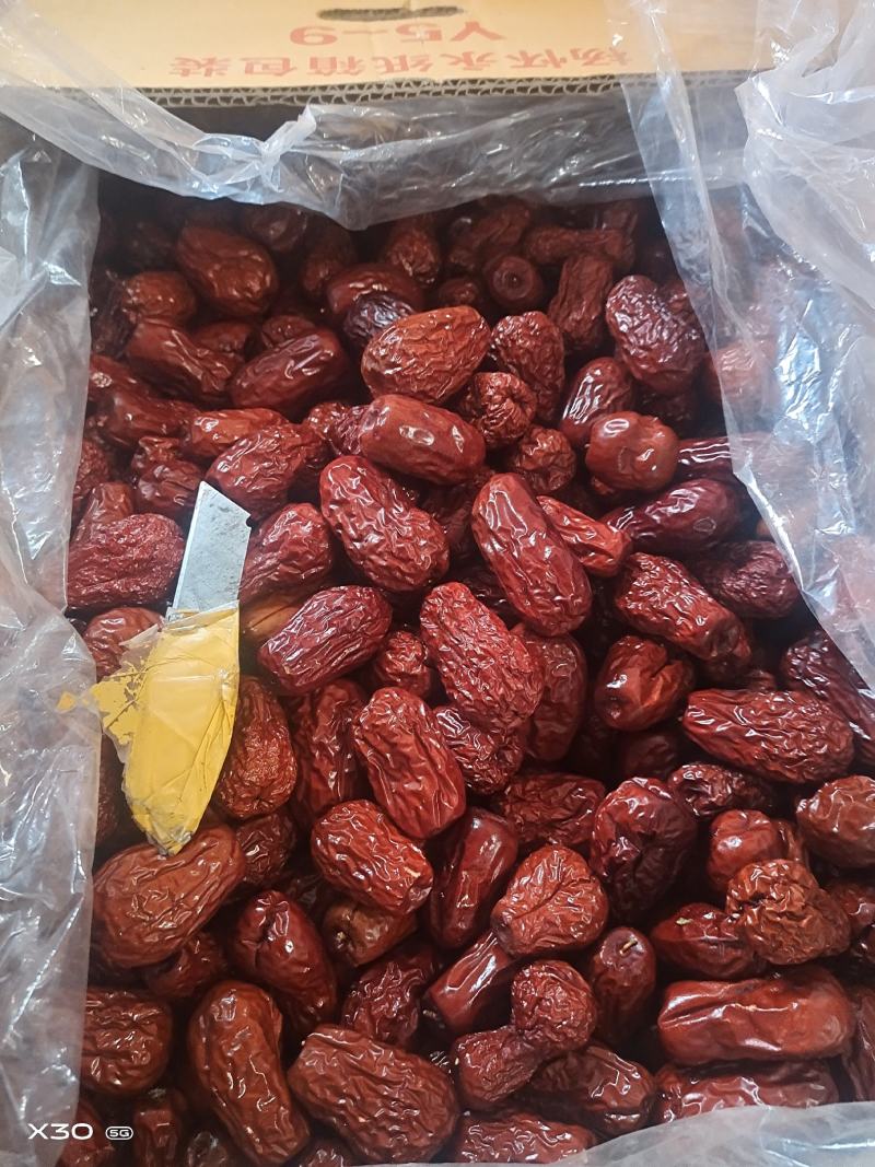 新疆和田大枣新货，成都库房大量现货，产地直销量大从优