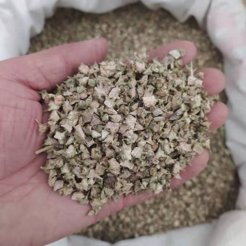 蒺藜产地直供支持线上交易可搭配多品种采购大货联系