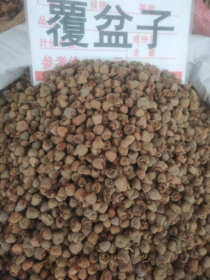 覆盆子～新货涨价中～170~一公斤起售~