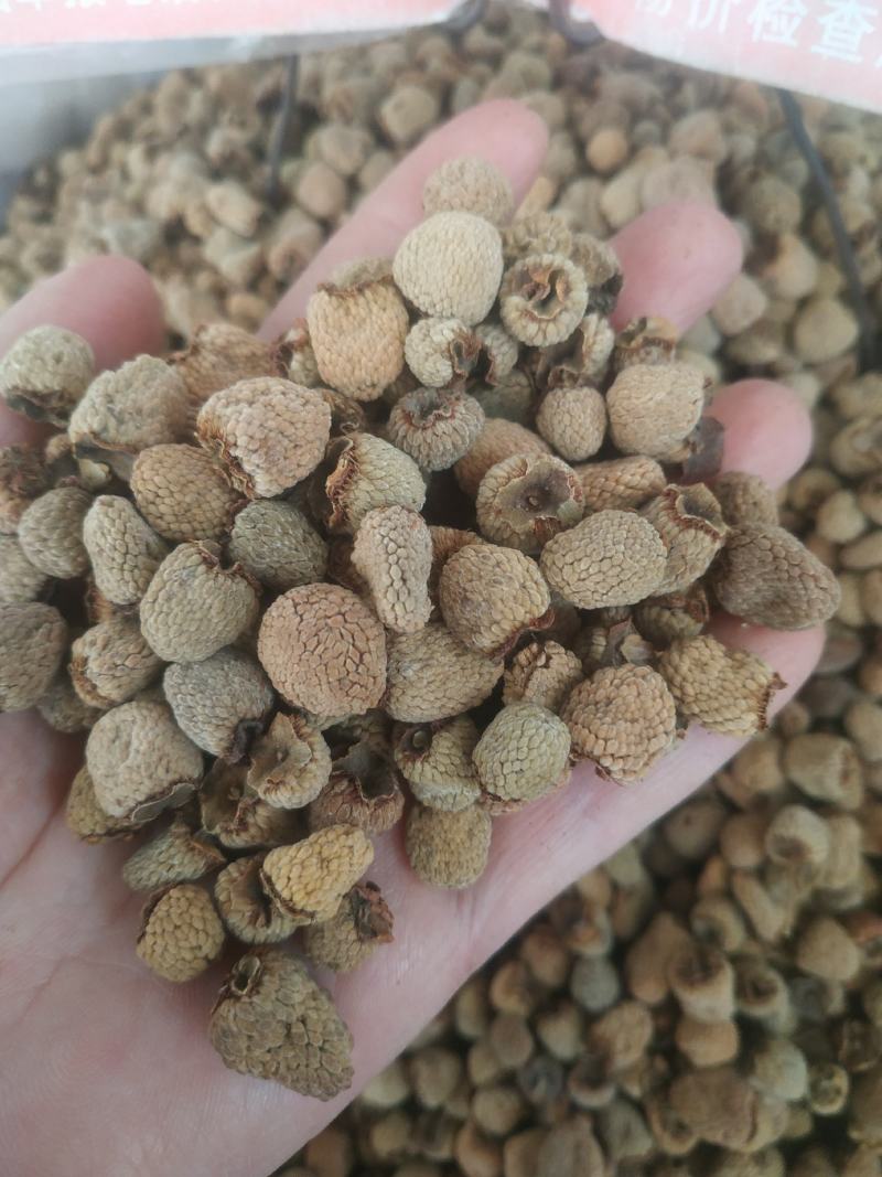 覆盆子～新货涨价中～170~一公斤起售~