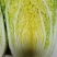安徽好吃的黄芯白菜自己种植正在上市质优价廉欢迎老板选购