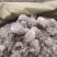 雪莲花各种规格可搭配多品种采购大货联系客服
