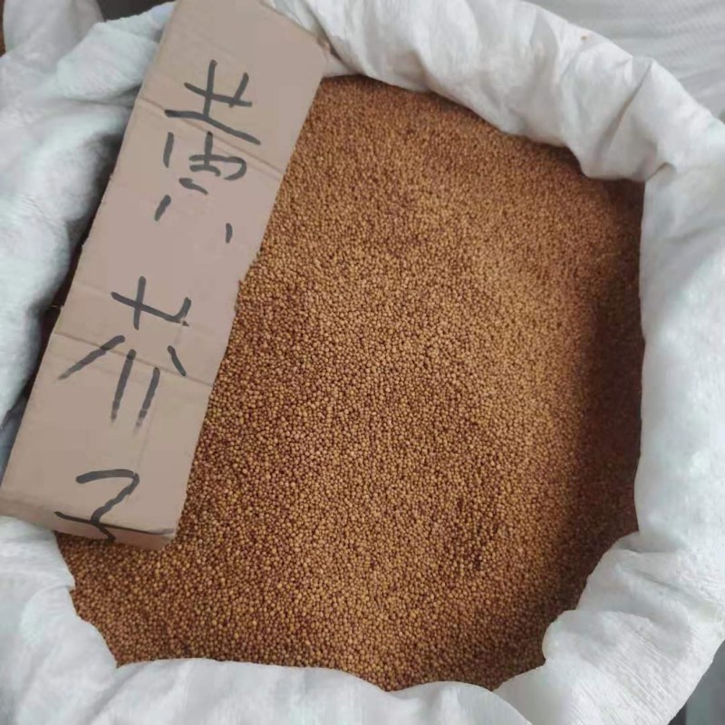 芥籽黄芥子各种规格接受订单可搭配多品种